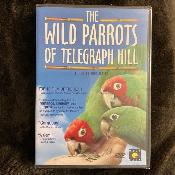The Wild Parrots of Telegraph Hill  - DVD - Picture 1 of 2